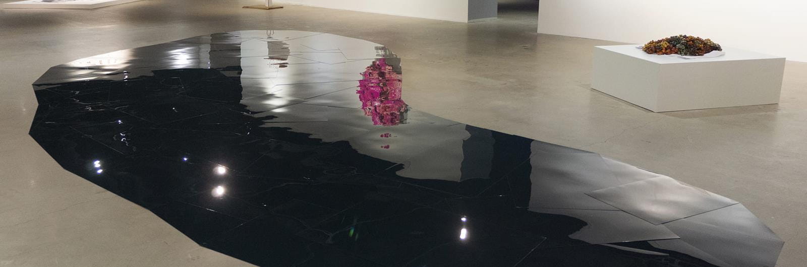 Sandra Eula Lee, Portable Pond.